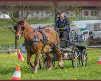 1POSIEUX 0405